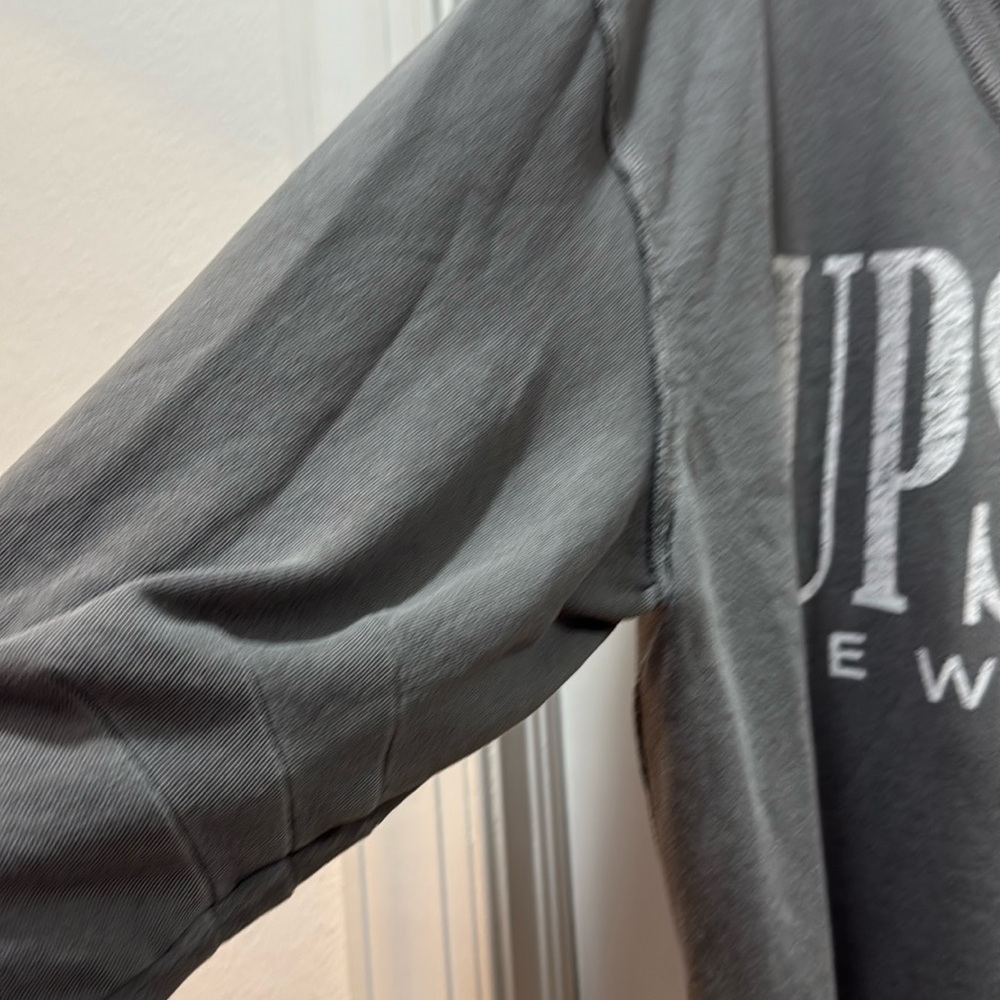 FREE PEOPLE WE THE FREE VENICE V-NECK GRAPHIC SWEATSHIRT UPSTATE NY NWOT sz L - Picture 5 of 10